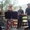 Performing with Harvest Road Music's CEO Randy Rigby & Friends at Laguna Sawdust Art Festival